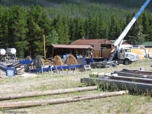 Huckleberry-Bullwheel Halves