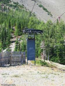 T-Rex-Return Bullwheel