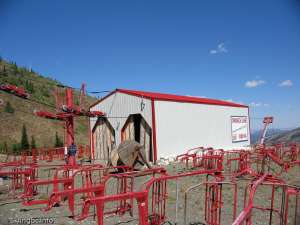 Tamarack-Bottom Station