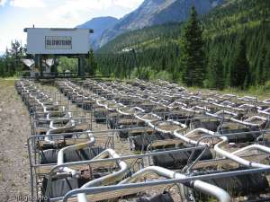 Canadian-Chairs off line