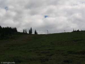 Curved T-bar North-Looking up at the down line