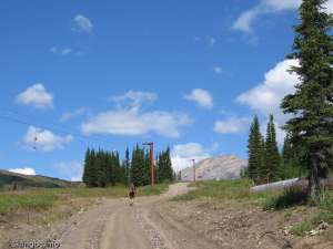 Curved T-bar South-Looking