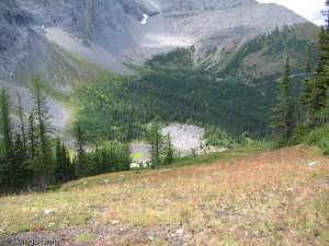 Ski Fortress-Ski Run