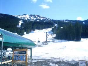 Grizzly Express Gondola-Up Line. Photo by Poloxskier (Bryan)