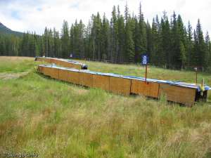 Magic Carpets-Liftlines