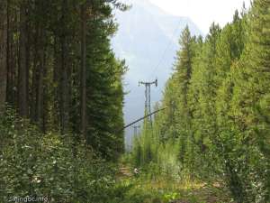 Old Gondola-Down Line