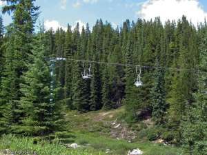 Caribou Double-Liftline