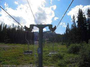 Caribou Double-Up Line