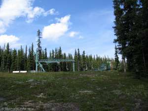 Caribou Double-Top Station