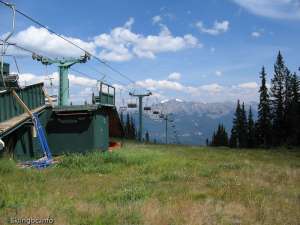 Caribou Double-Down Line