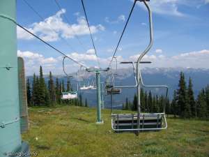 Caribou Double-Down Line