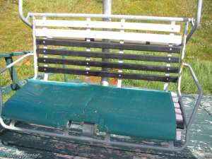 Caribou Double-Chair