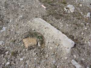 Caribou Double-Old Foundation from Caribou Extension