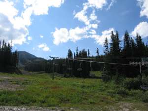 Caribou Double-Up Line