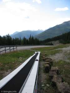 Magic Carpet-Down Line