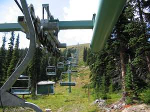 Paradise Triple-Up Line