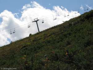 Paradise Triple-Liftline