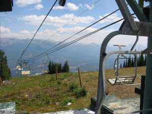 Tranquillizer Double-Down Line