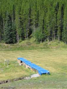 Magic Carpet-Liftline