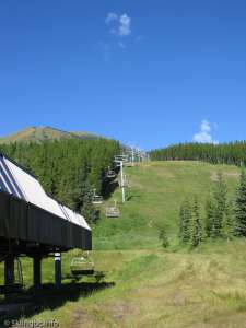 Silver Express-Up Line