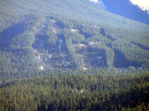 Pigeon Mountain-Tree Cuts. Photo Credit: Callie Mack