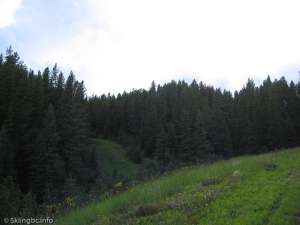 Silver Summit-Ski Run