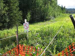 Ropetow-Loading Area