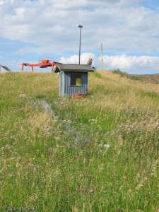Magic Carpet-Up Line (Grown Over)