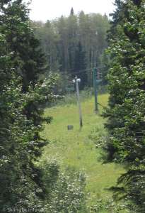 Wildcat-Lift through trees