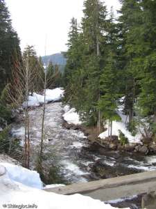 Callaghan-River near the venue