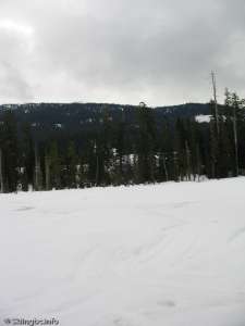 Callaghan-Small lake near the venue