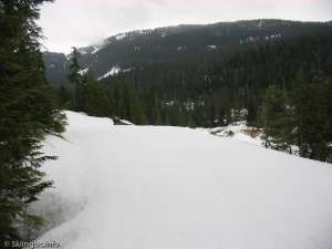 Callaghan-Racing Trail