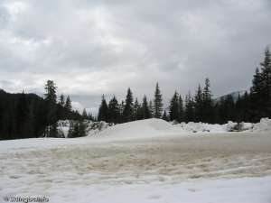 Callaghan-Biathlon Range