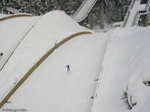 Ski Jump-