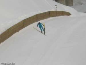 Ski Jumper-