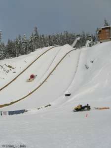 Ski Jumps-